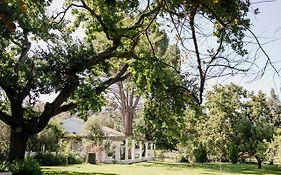 Montpellier De Tulbagh