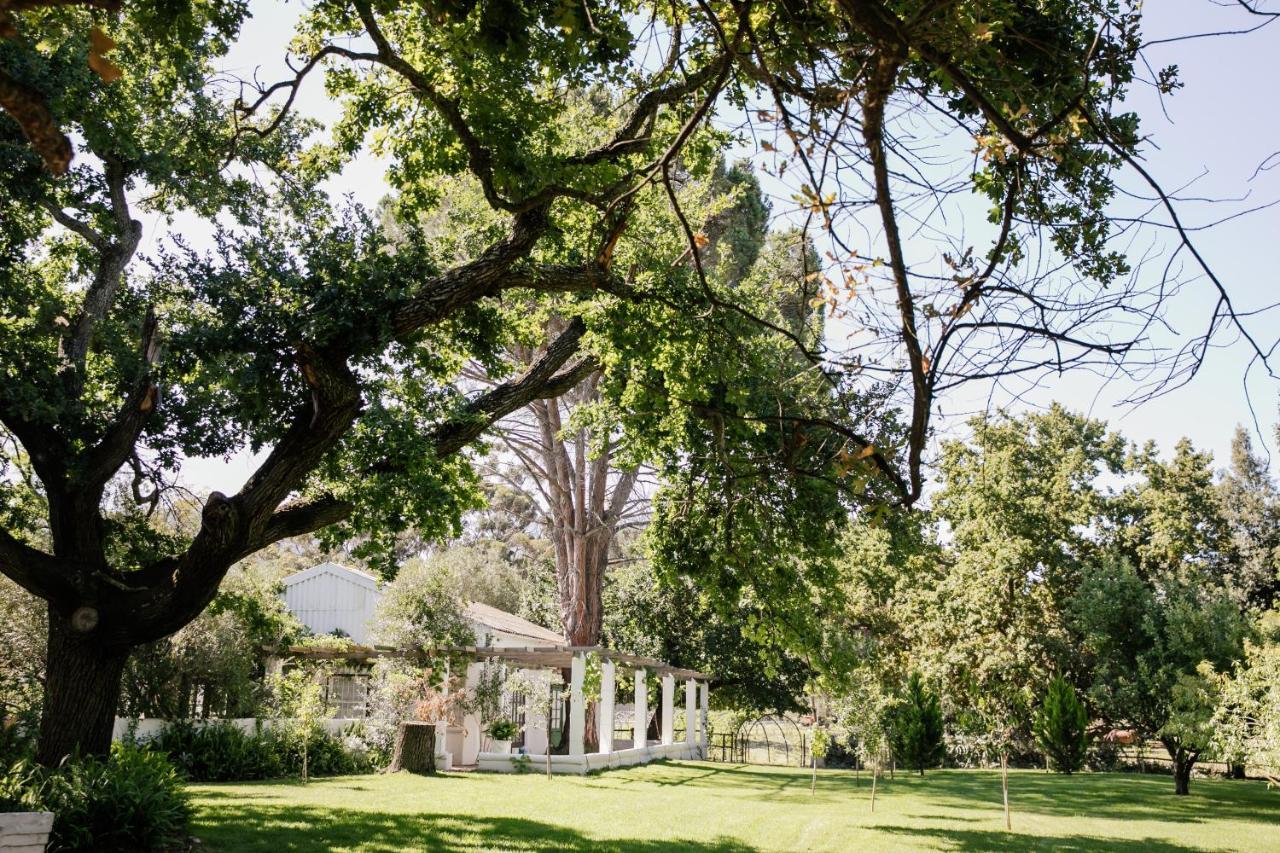 Montpellier De Tulbagh Hotel Exterior photo